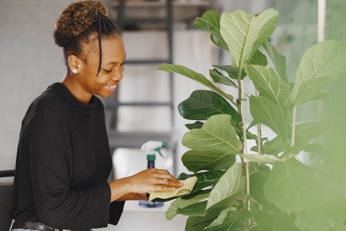 Une employée de Kleen-Net souriante entretient une plante d'intérieur dans un espace propre et lumineux